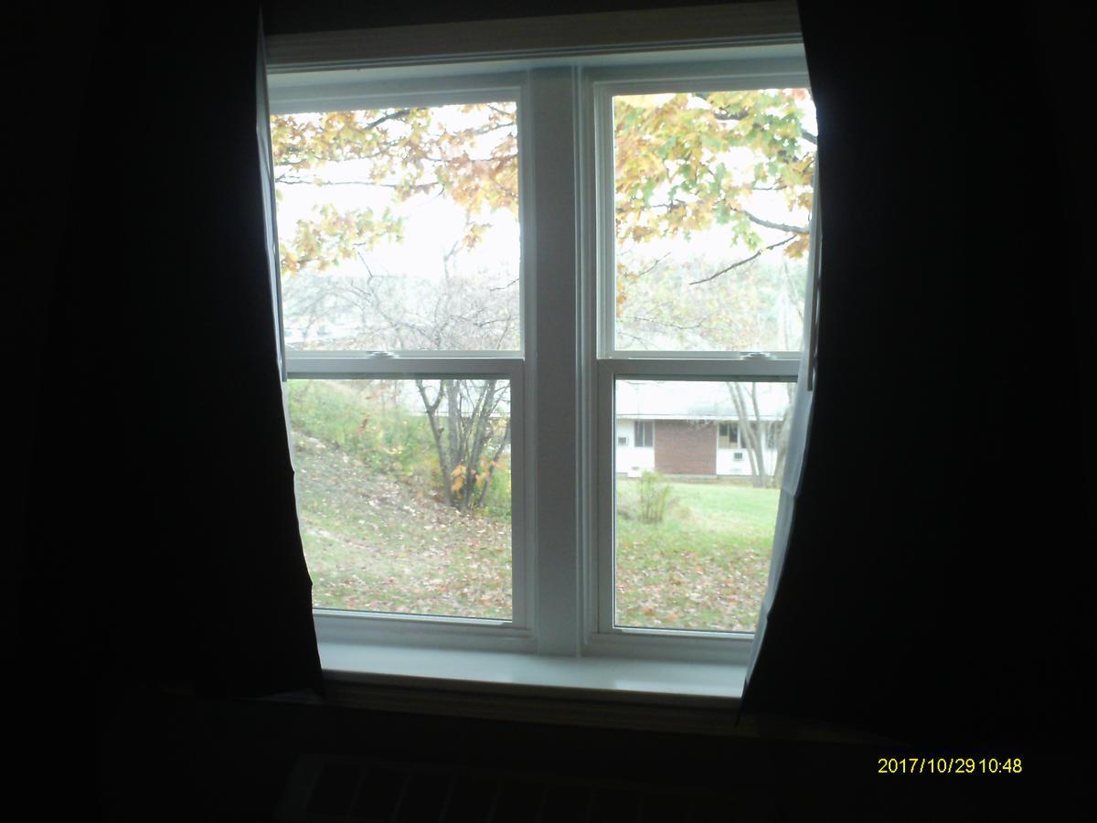 Inn Pine Tree 2*