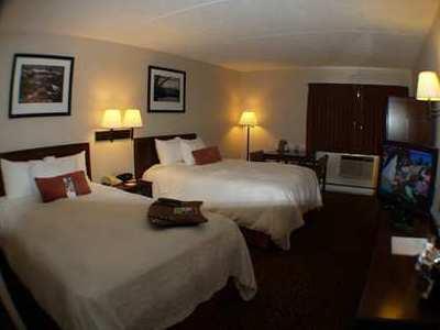 Comfort Bangor